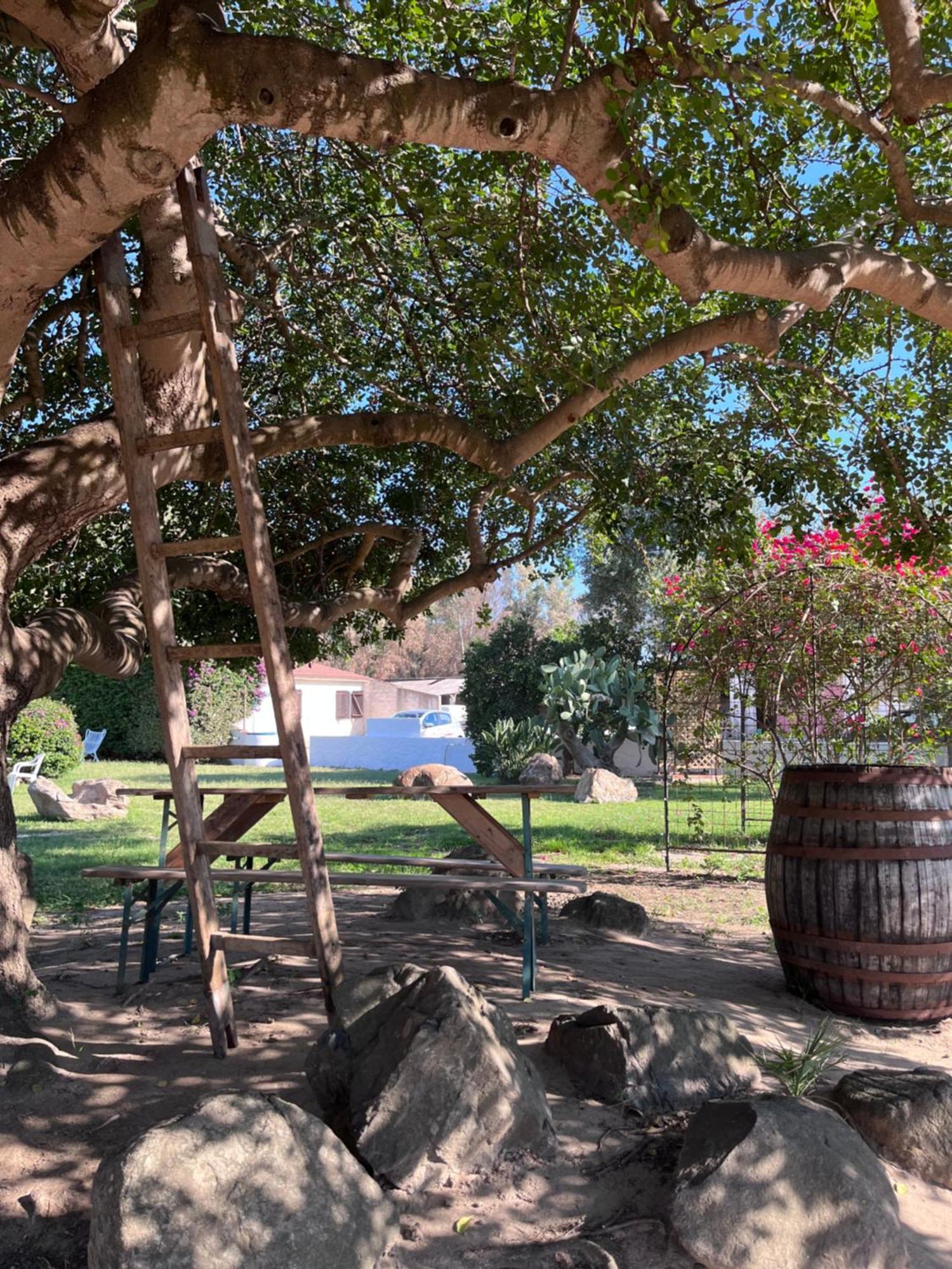 Bidd'E Majori Acomodação com café da manhã San Priamo Exterior foto